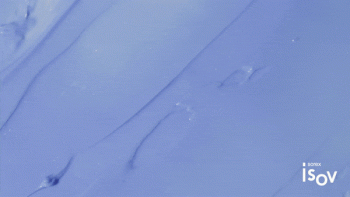 AZULENE CARE CREAM 50ml