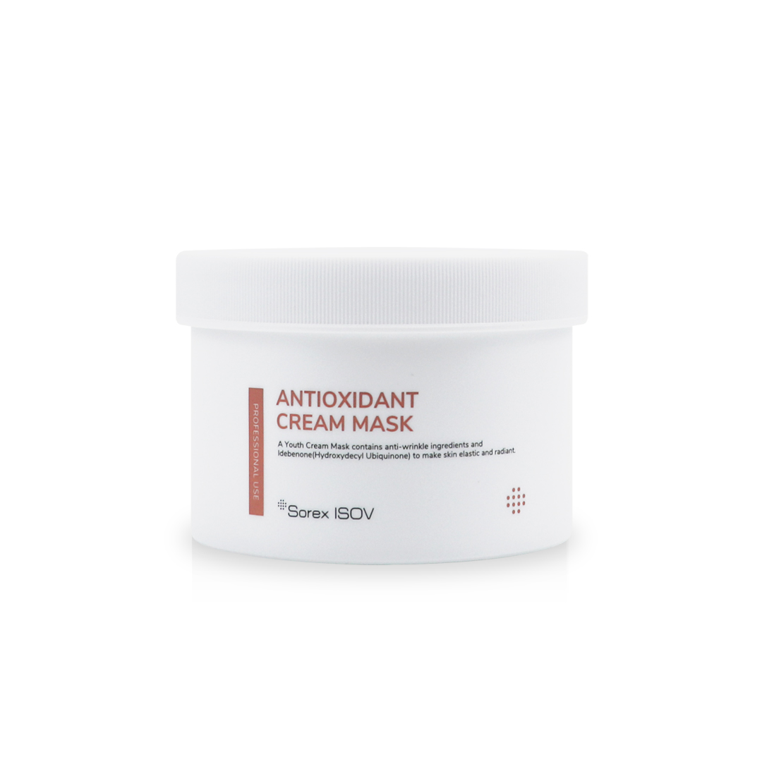 ANTIOXIDANT CREAM MASK 300ml