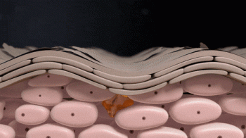 EXO LLT PRO TRI FILLS SOLUTION 5ml×5ea