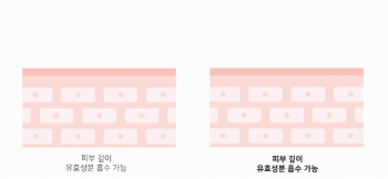 ETHOSOME DDS ASTAXANTHIN BOOSTER 5ml×5ea