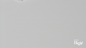 O2 SNOW BUBBLE ACTIVATOR 1000ml